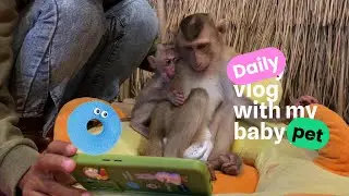 No More Nature! They Just Want To Watch YouTube All Day #babymonkey #mom