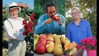 90 ANS DE CRÉATIONS DE FRUITS ET DE ROSES, LA BELLE SAGA DES PÉPINIÈRES ET ROSERAIES GEORGES DELBARD
