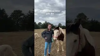 The storm clouds in the back👌#horses #storm #arena #funny #fyp