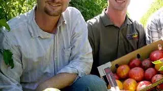 What sets Capay Organics Apart?