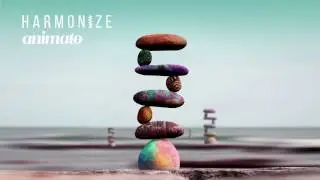 Animato & Ticon - Last Resort
