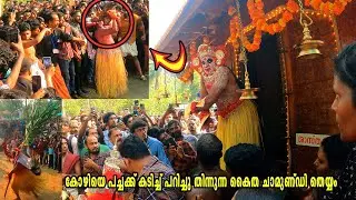 കൈത ചാമുണ്ഡി തെയ്യത്തെ കണ്ടാൽ പേടിച്ചു പോകും  |  Kaitha Chamundi Theyyam | valora