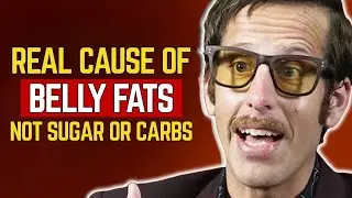 The Real Cause of Belly Fat Not Sugar or Carbs | Ben Azadi