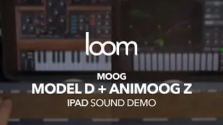 Loom: Minimoog Model D and Animoog Z on iPad