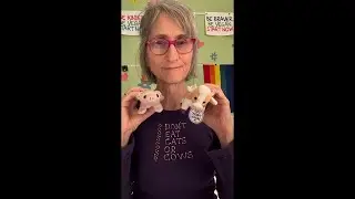 That Vegan Teacher is live!