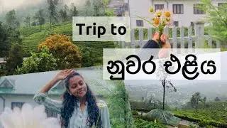 නුවර එළියෙ දවස් දෙකක් | ලංකාවේ උසම දුම්රිය ස්ථානය  | Haputhale | Nuwara Eliya | Pattipola | Ella ✨