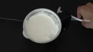Gastronoma Milk frother