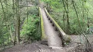 Styal and Giant&rsquo;s castle woods Cheshire