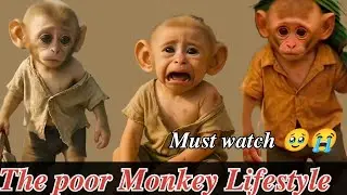 🥹Heart touching baby monkey struggle 💔💥 #sadmonkey #successtory 