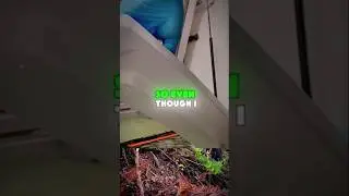 NEVER GO TO A PUBLIC BATHROOM... #funny #satisfying #humor #trending #shorts