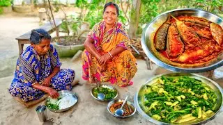 আজ পালন থেকে বেগুন তুলে বেগুনের  🍆 কালিয়া আর কুমড়ো ডগা দিয়ে ঝোল রান্না করলাম🙂 | Brinjal 🍆 recipe