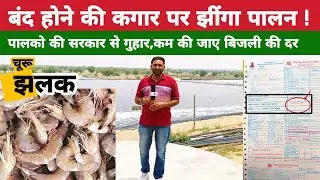 क्या बंद हो जाएंगे झींगा मछली फार्म ? मछली पालको की सरकार से गुहार कम करें बिजली दर। jhinga fish