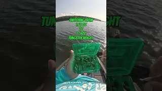 Using the correct drop shot weight matters for fishing! #bassfishing #tacklewarehouse #fishing #bass