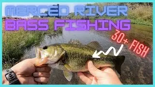 Merced River Bass Fishing Central California - I Caught 30+ Fish in One Day - Pflueger Trion Combo