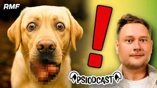 Twój PIES zjadł coś na spacerze. CO ROBIĆ?