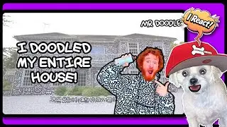 Я нарисовал весь свой дом каракулями &mdash; реакция MR Doodle от Chopsicle