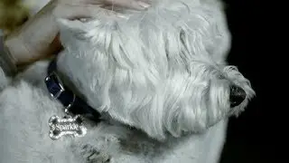❄ The M&S Christmas TV Advert 2013 ❄