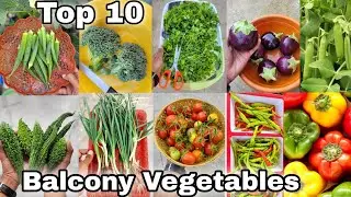 Top 10 vegetables we can grow at home | घर में उगाई जाने वाली 10 सब्जियां 
