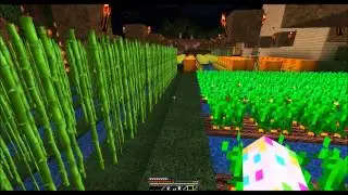 MTV Cribs Minecraft Edition