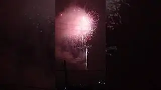 Ph&aacute;o hoa mộc ch&acirc;u 2019
