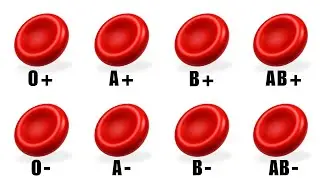 Every Secret Strength Behind Your Blood Type Explained