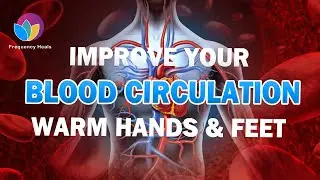 Blood Circulation Improvement | Speed Up Your Blood Flow & Prevent Blood Clots & Be Energetic