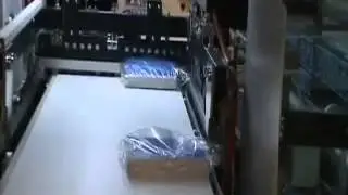 Minipack-Torre Pratika 56 CS volautomatische Sealmachine