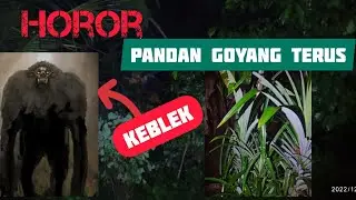Kalau Bau daun Pandan Ada Hantu KEBLEK ❗ ini daunnya goyang2 terus😲