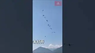 Moment of Destiny: Skydiver Narrowly Escapes Death #rescue #extremesports #crash #action