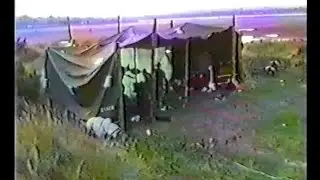 TAYPORT PUNKS PICNIC 1986 (FULL) AOA / OI POLLOI / STATE OF DECAY / ID PARADE / TARTAN PAINT / EXALT