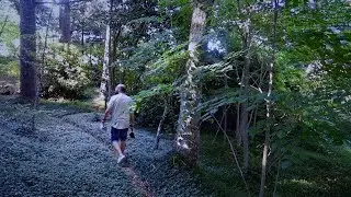 Look Deep Into Nature | Cinematic Short Film (B-Roll)