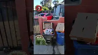 Garbage Truck Driver POV: Don't overflow your trash can with loose items