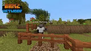 BRNZ mini-film