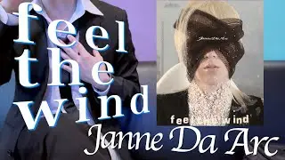 ジャンヌダルク feel the wind #カラオケ #歌ってみた #jannedaarc #feelthewind