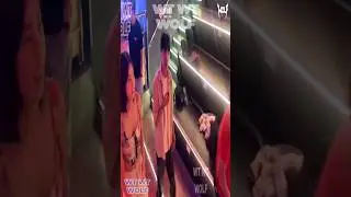 Vaky cuenta su historia🦙 | Shorts Wolfteam Latino