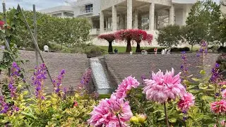 Getty Center Garden at Los Angeles California