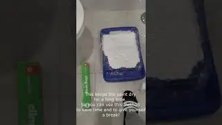 How to keep paint tray and roller wet