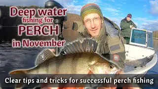 DEEPWATER PERCH fishing in November | Best perch fishing rig for now | Perch fishing tips and tricks