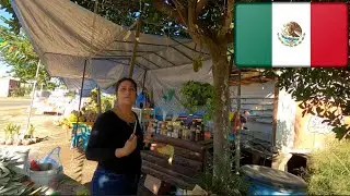 Machete wielding woman in Nayarit, Mexico 🇲🇽 BIG COLIBRI TRAVEL NEWS | Mexico travel vlog