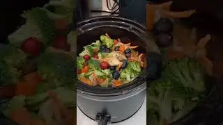  Homemade Chicken & Veggie Dog Food Recipe | Healthy & Easy Meal for Your Dog 🥕🍗