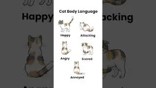 Your cat asked you to save this post for their next mood swings 🐱