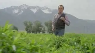 Young Living's Seed To Seal&reg; Process Step 2: CULTIVATE