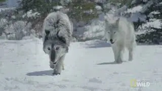 Hunters in the Snow