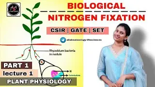 BIOLOGICAL NITROGEN FIXATION PART-1 : INTRODUCTION || PLANT PHYSIOLOGY || CSIR-NET LIFECSIENCES 
