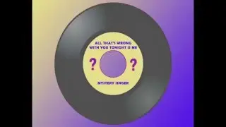 Mystery Country Singer - All That's Wrong with You Tonight Is Me