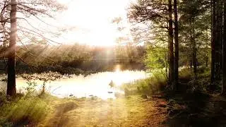 Molecular Music - Vintage Joy: Nostalgia for Nothing