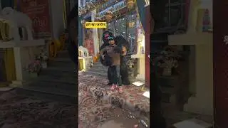 #song #funny #entertainment #cutebear