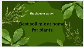 Homemade soil mix for plants