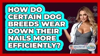 How Do Certain Dog Breeds Wear Down Their Nails More Efficiently? - Ask A Pet Vet