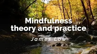 Mindfulness: theory and practice. Warsaw 11.2008